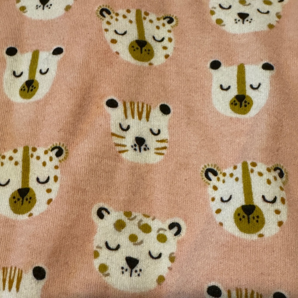 E=mc2 Magnetic Leopard Footie - Picture 6 of 6